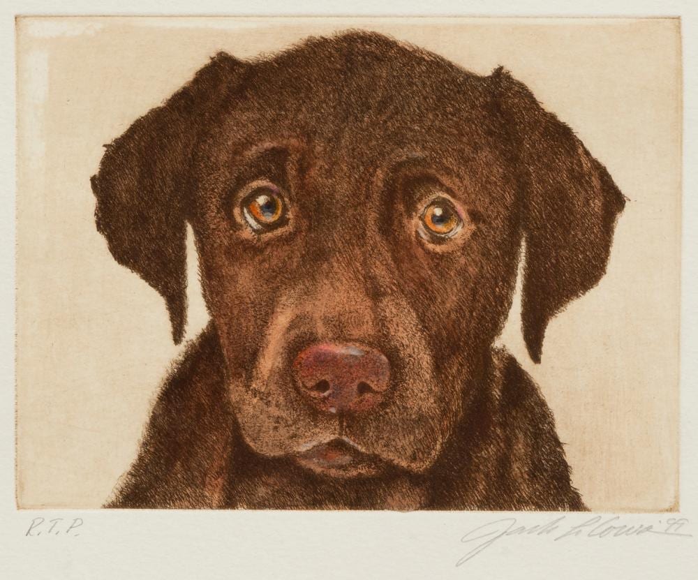 Jack Cowin comparable auction result: jack cowin untitled dog portrait