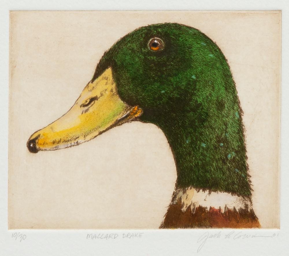 Jack Cowin comparable auction result: jack cowin mallard drake