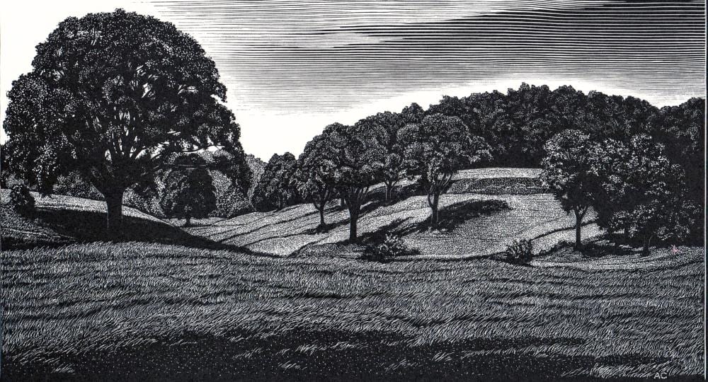 Asa Cheffetz comparable auction result: asa cheffetz signed wood engraving trees