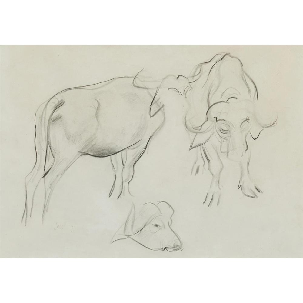William Dobell comparable auction result: william dobell 1899 1970 oxen 1933 pencil on paper 24 5 x 34 5cm 41 5 x 51 5cm framed