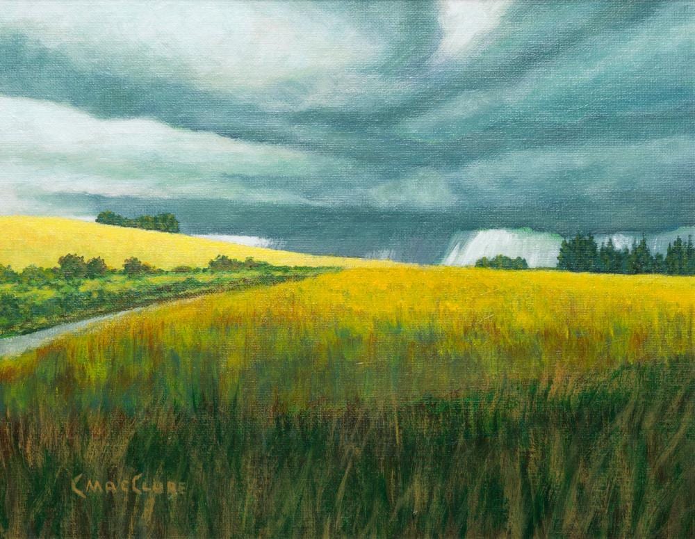 Chris MacClure comparable auction result: chris macclure passing storm