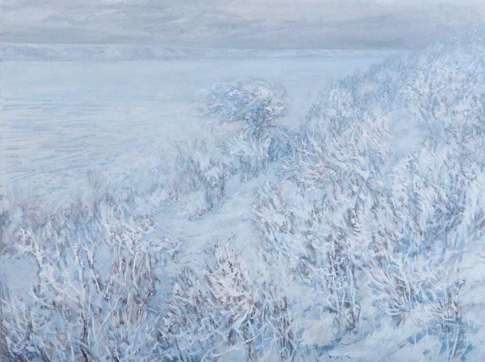 Anne Meggitt comparable auction result: anne meggitt snow at katepwa