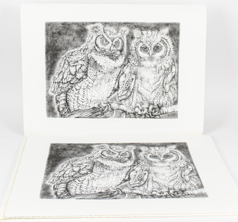 Christine McGinnis comparable auction result: christine mcginnis american 1937 2019 42 great horned owls lithographs
