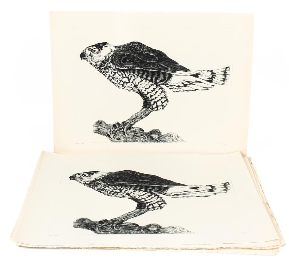 Christine McGinnis comparable auction result: christine mcginnis american 1937 2019 36 cooper s hawk etchings