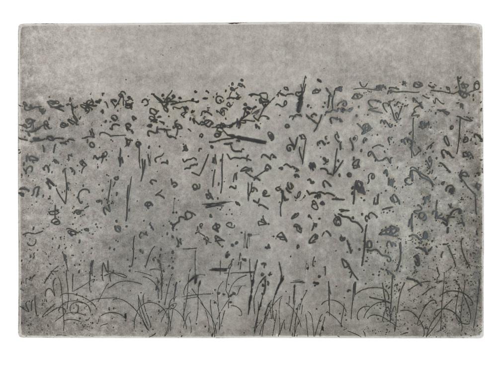 Fred Williams comparable auction result: fred williams 1927 1982 lysterfield landscape etching 28 30 signed lower right fred williams titled verso 30 x 40cm 66 x 65cm overall