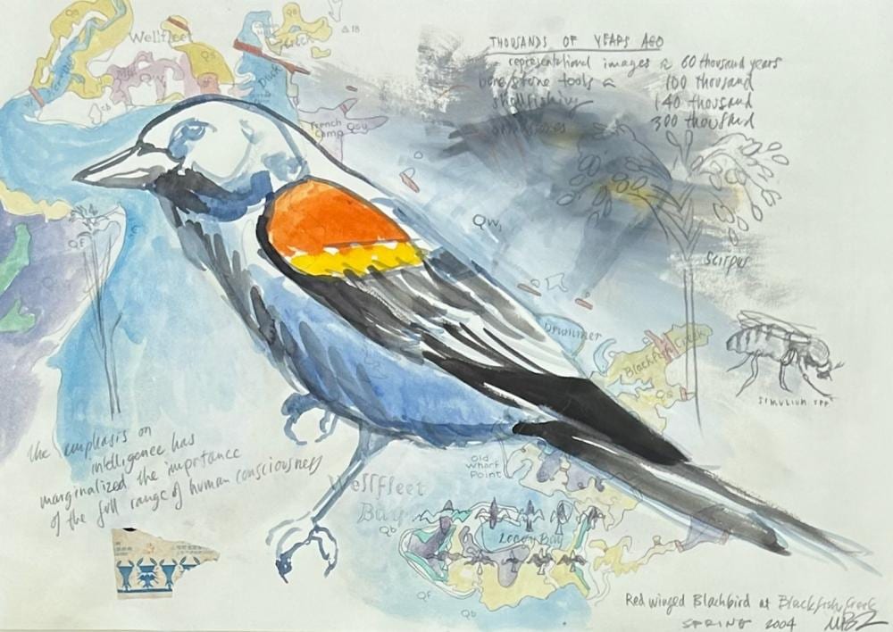 Mark Adams comparable auction result: mark adams 20 21st c red winged blackbird at blackfish creek mixed media on paper 12 x 17 1 2 sheet 17 x 21 framed