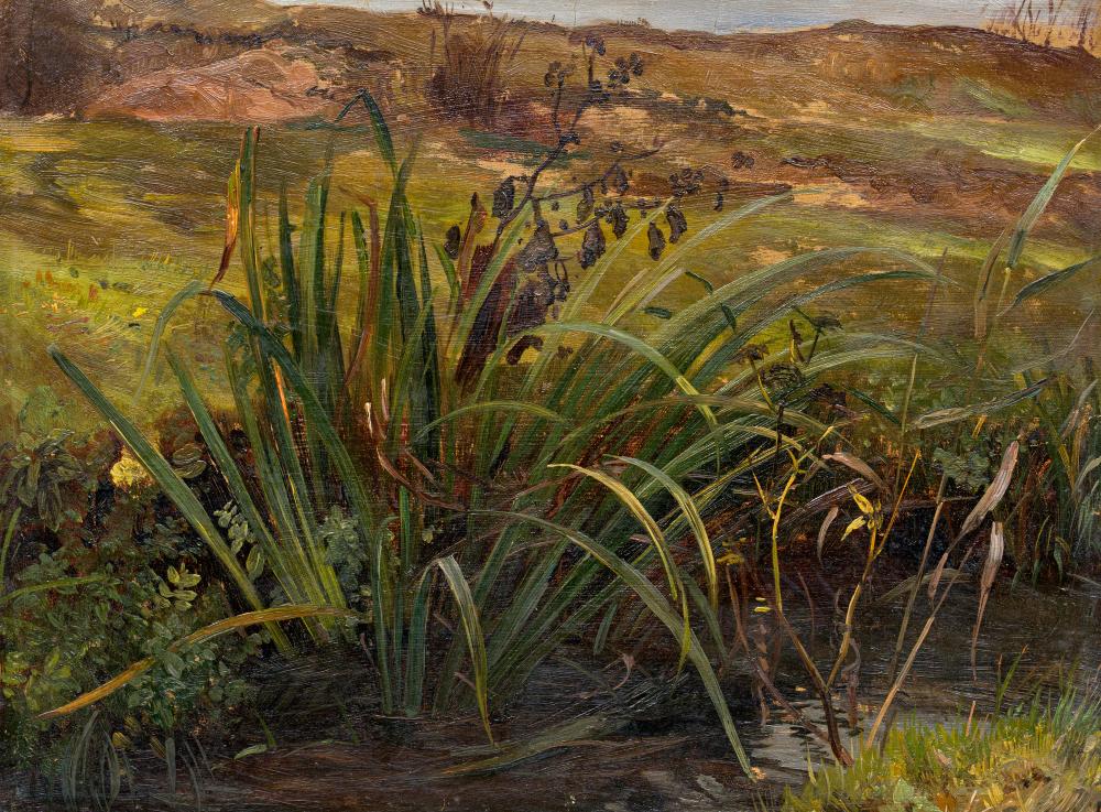 Christian Friedrich Gille comparable auction result: christian friedrich gille sumpfgew chse am wasser um 1870 1880