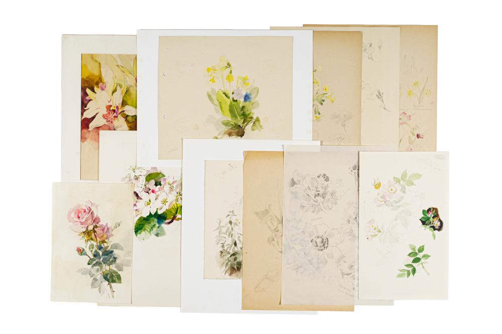 arno drescher 11 botanische studien wohl 1930 s · Schmidt Kunstauktionen Dresden OHG · 2026-06-20 Arno Drescher comparable auction result: arno drescher 11 botanische studien wohl 1930 s