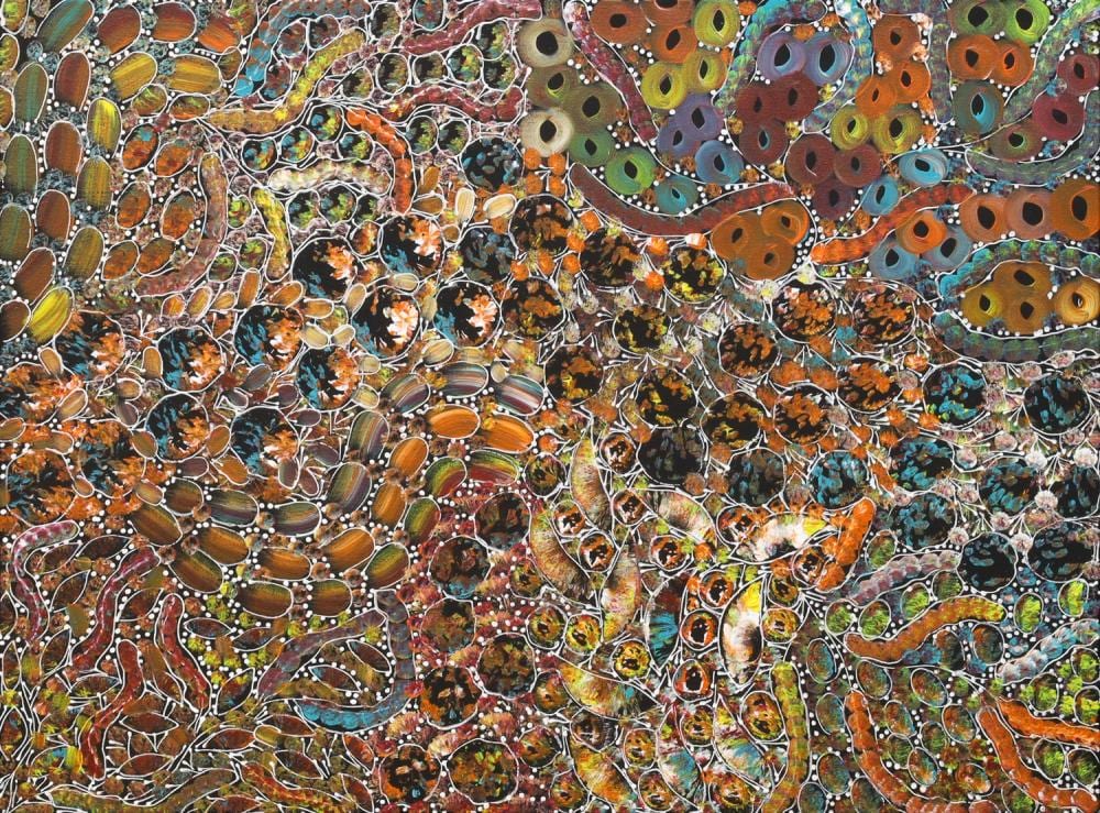 Rachael Nambula comparable auction result: rachael nambula bush yam dreaming acrylic on canvas 72cm x 97cm