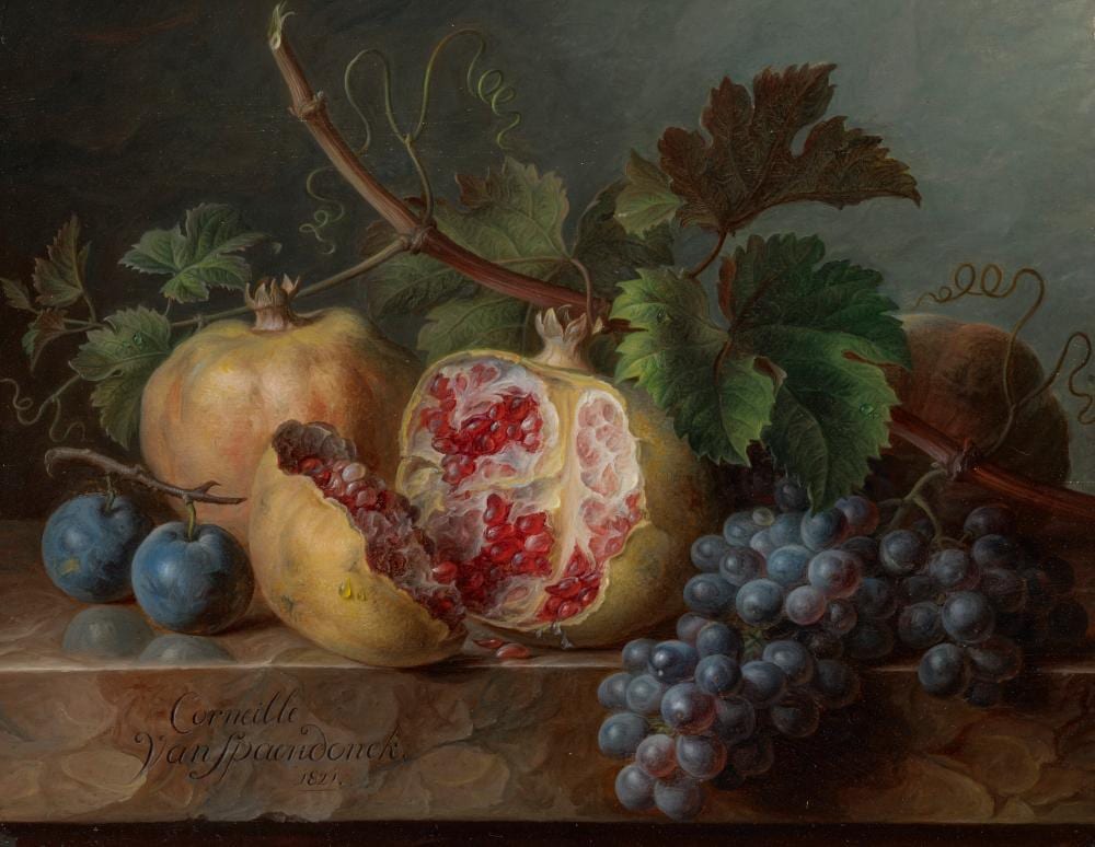 Cornelis van Spaendonck comparable auction result: cornelis van spaendonck tilburg 1756 1839 paris pomegranates grapes and