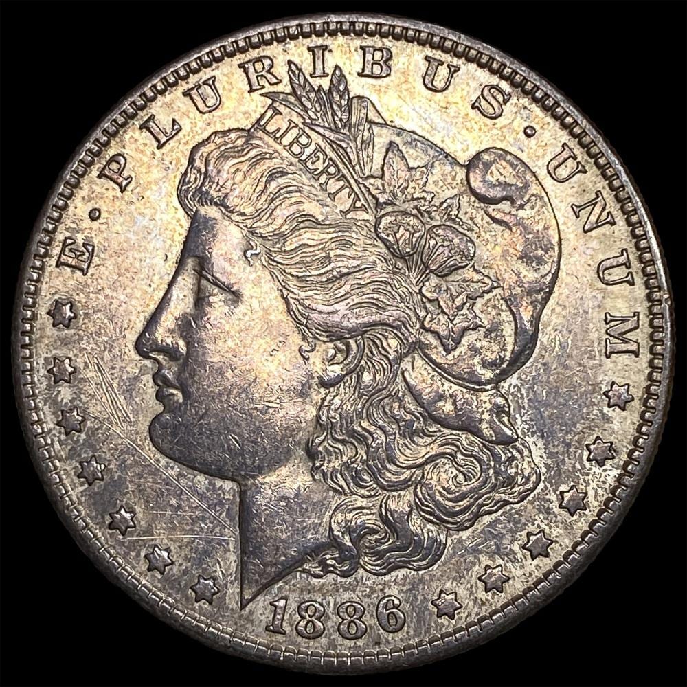 Close-up of a silver Morgan dollar coin showing Lady Liberty portrait and the date 1886 on a dark background.
