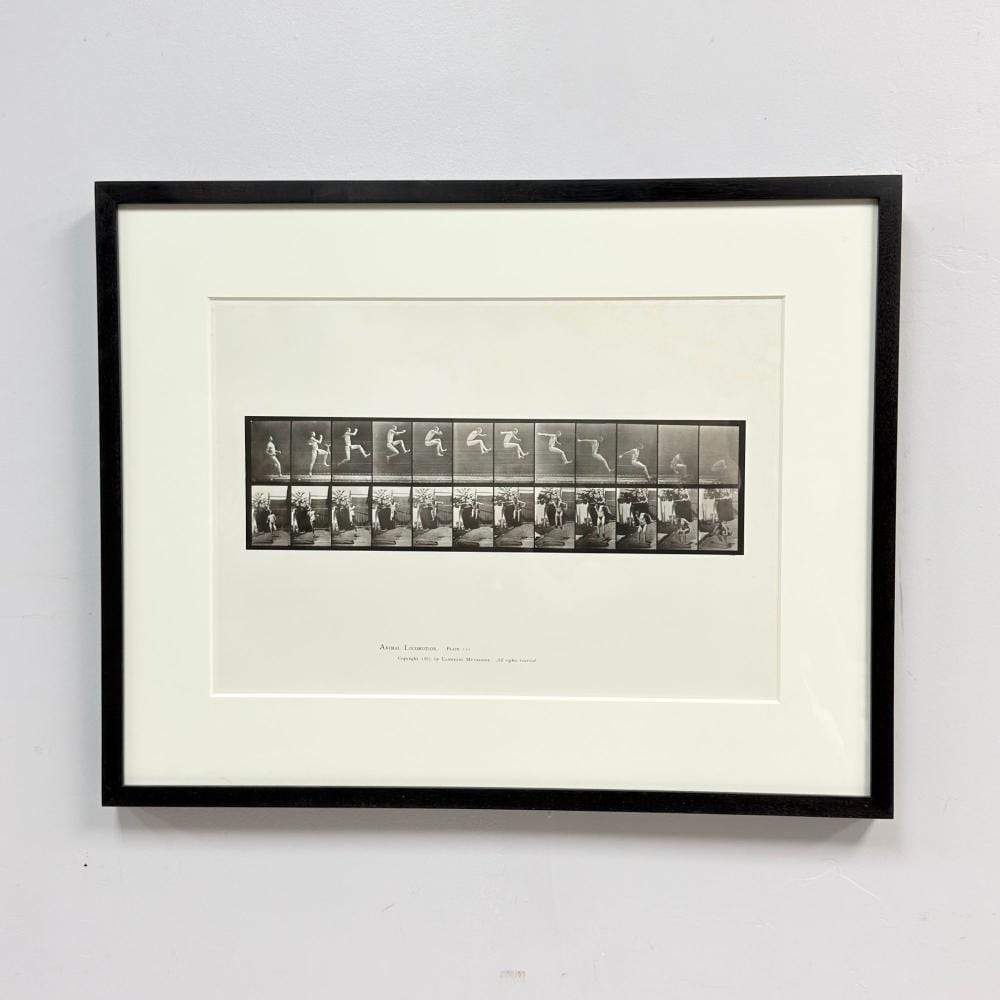 Eadweard Muybridge comparable auction result: eadweard muybridge animal locomotion plate 159 collotype print 1887