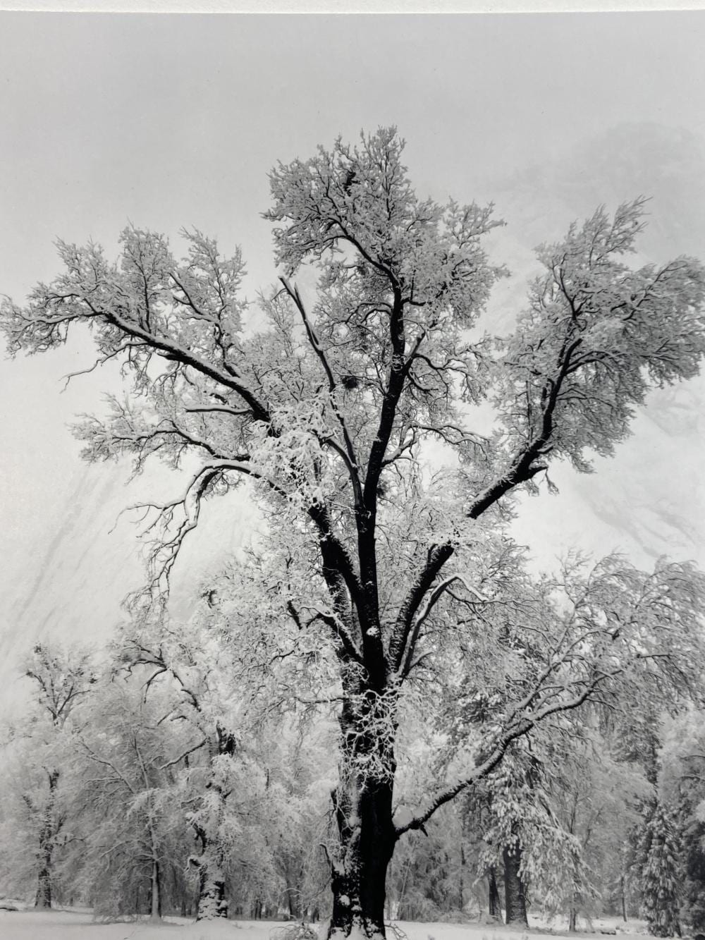 Ansel Adams comparable auction result: ansel adams 1902 1984 special edition photograph