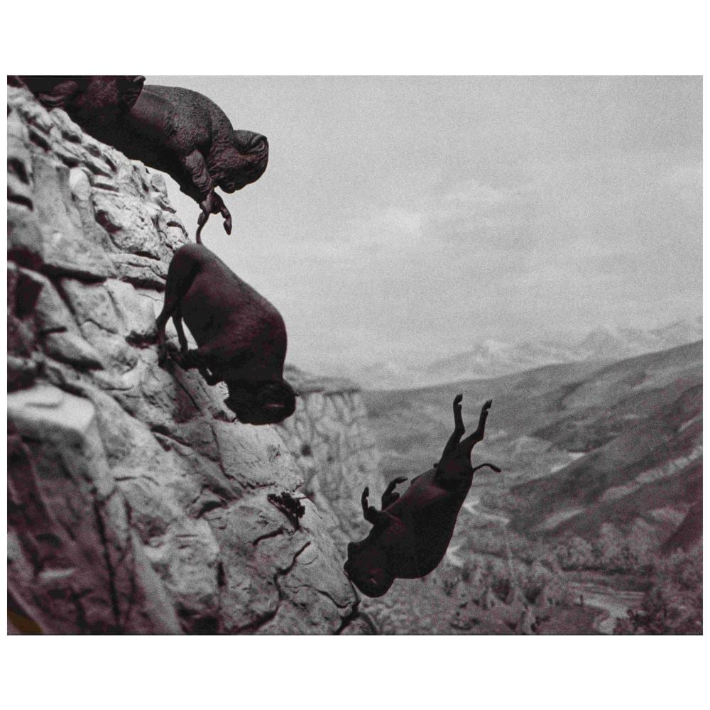 David Wojnarowicz comparable auction result: david wojnarowicz 1954 1992 untitled buffaloes