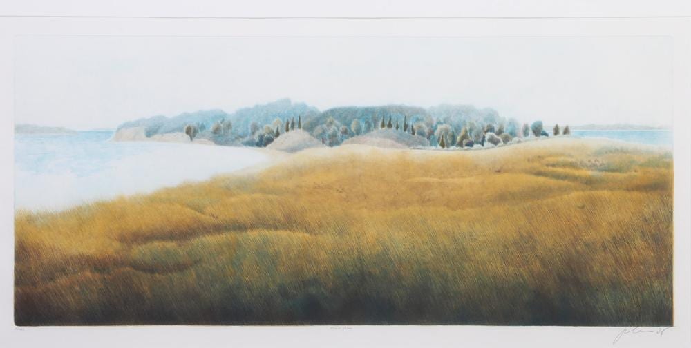 Nicolette Jelen comparable auction result: nicolette jelen american 20th c jessup neck 1986 color lithograph image height 20 in image width 34 in framed height 32 in framed width 47 in