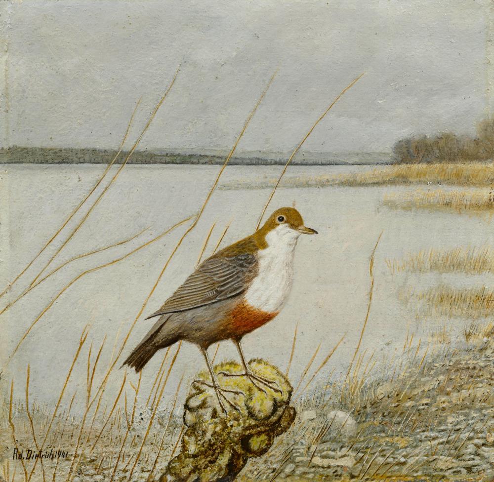 Adolf Dietrich comparable auction result: adolf dietrich