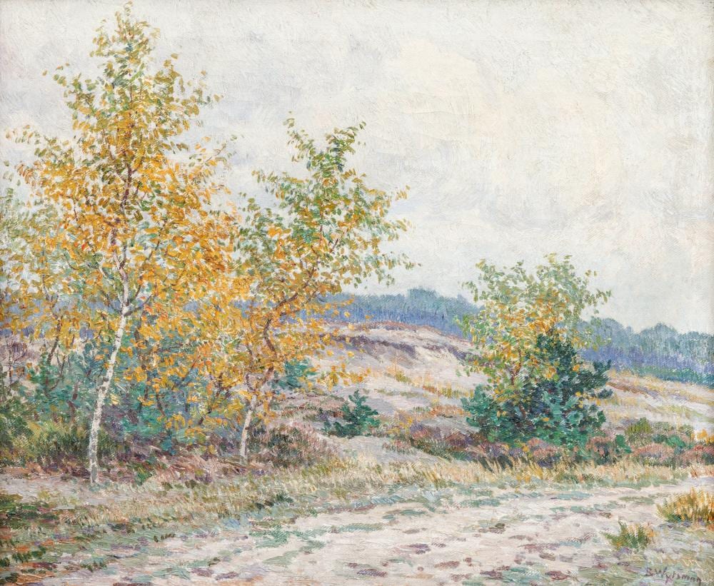 Rodolphe Wytsman comparable auction result: rodolphe wytsman 1880 1927