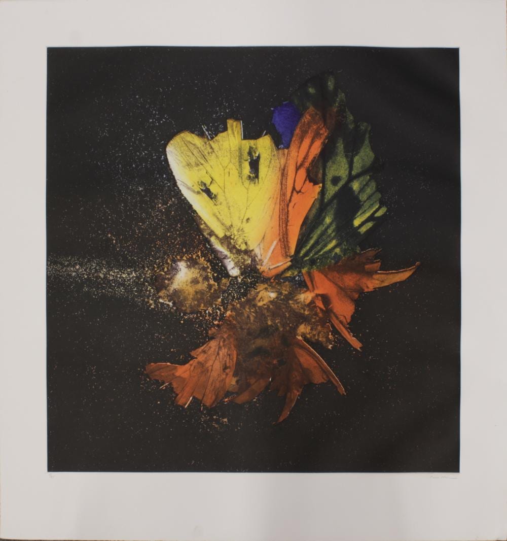Mat Collishaw comparable auction result: mat collishaw british b 1966