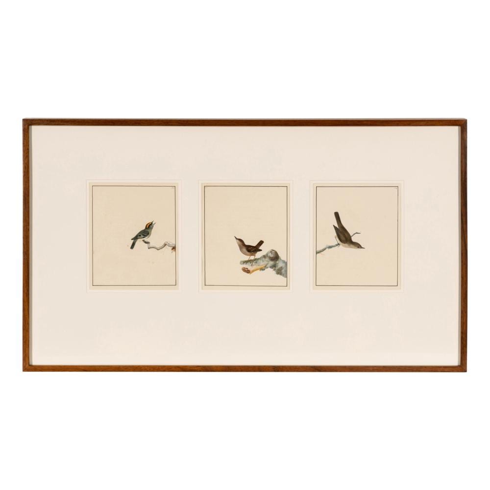 William Lewin comparable auction result: william lewin british 1747 1795 bird portrait no 111 bird portrait no 112 and bird portrait no 114 three works framed as one