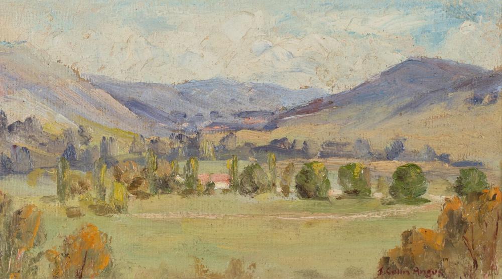 J. Colin Angus comparable auction result: j colin angus 1907 2002 jingellic nsw