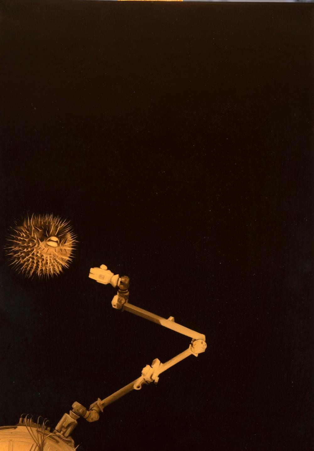 sam leach born 1973 untitled 2008 · Gibson's · 2026-06-15 Samuel Leach comparable auction result: sam leach born 1973 untitled 2008