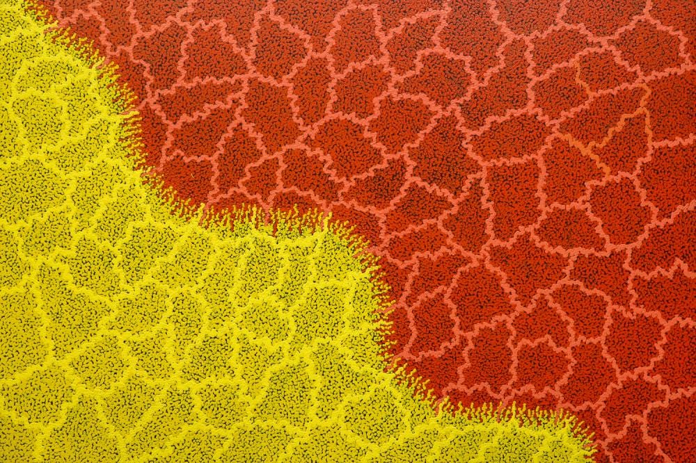 Kyra Campbell comparable auction result: kyra campbell lightning dreaming acrylic on canvas 97cm x 146cm