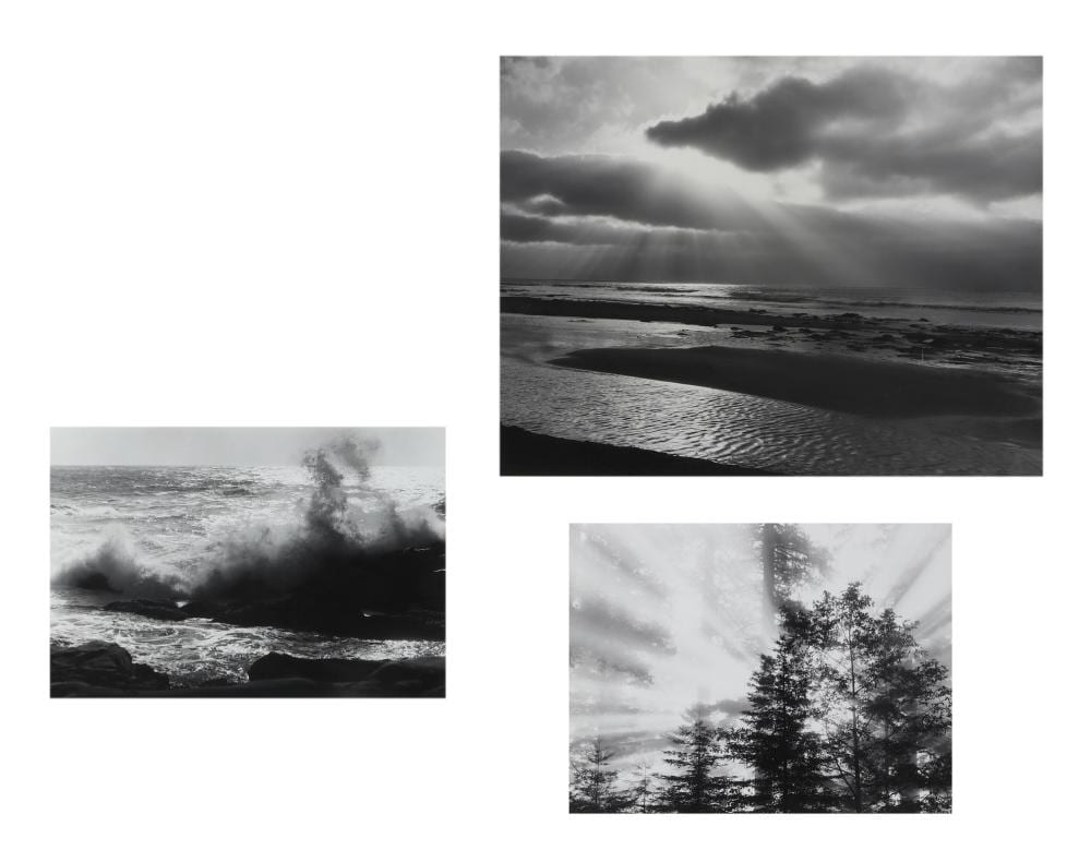 Bob Werling comparable auction result: robert werling american b 1946 three photographs gelatin silver prints laid to matt boards 14 1 2 x 19in 37 x 48cm