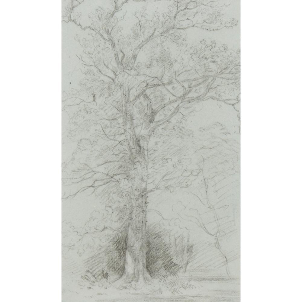 john constable 1776 1837 study of a mature tree in a landscape pencil on paper 23 x 14cm · Leonard Joel · 2026-06-30 John Constable comparable auction result: john constable 1776 1837 study of a mature tree in a landscape pencil on paper 23 x 14cm