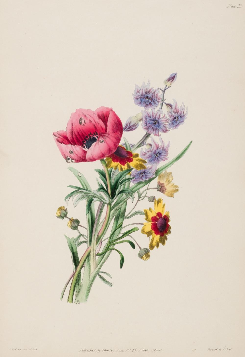 Andrews (James). Lessons in Flower Painting. A Series of Easy and Progressive Studies, [circa 1835] sold by Dominic Winter Auctions, lot 285 — auction record photograph