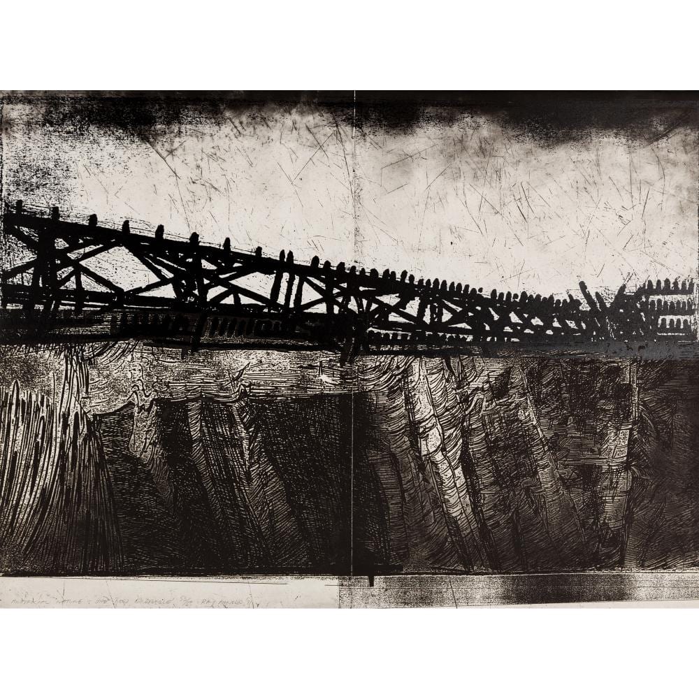 Raymond Arnold comparable auction result: raymond arnold born 1950 artificial nature the new grotesque 1991 etching and screenprint ed 53 55 57 x 76 5cm sheet
