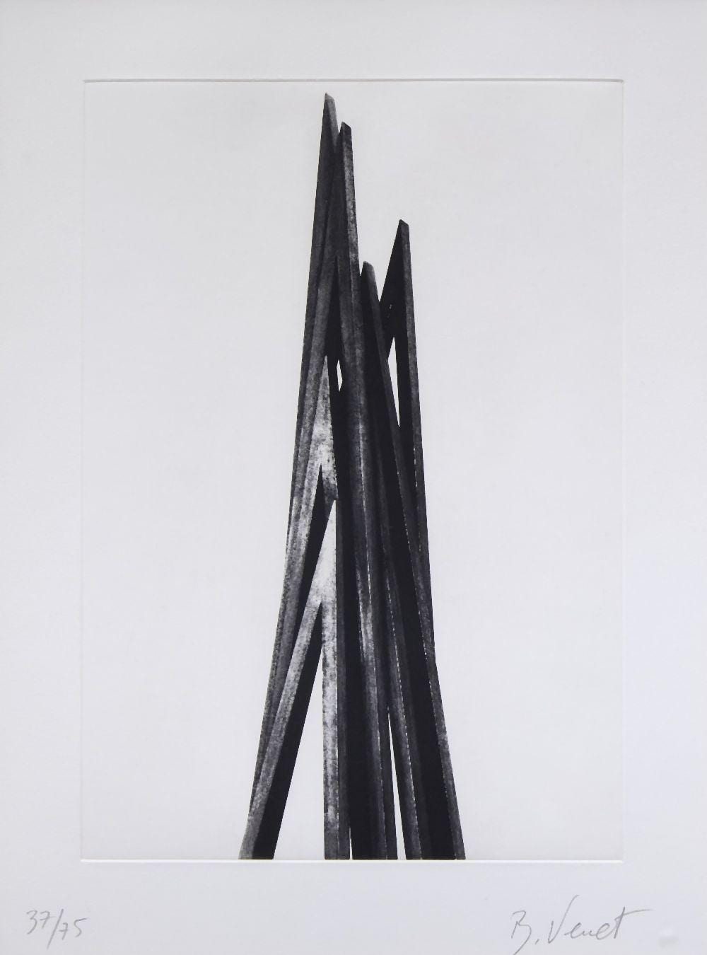 Bernar Venet comparable auction result: bernar venet french b 1941 vertical angles 2016 gravure and aquatint on wove sign