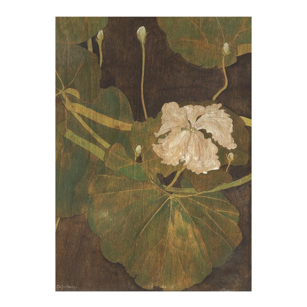 Ithell Colquhoun comparable auction result: ithell colquhoun british 1906 1988 courgette 33 4 x 24 6 cm 13 1 8 x 9 3 4 in painted circa 1933