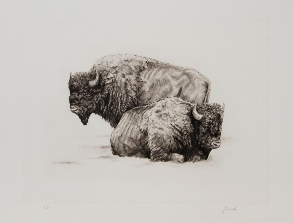 Joseph Vance comparable auction result: joseph vance american buffalo etching