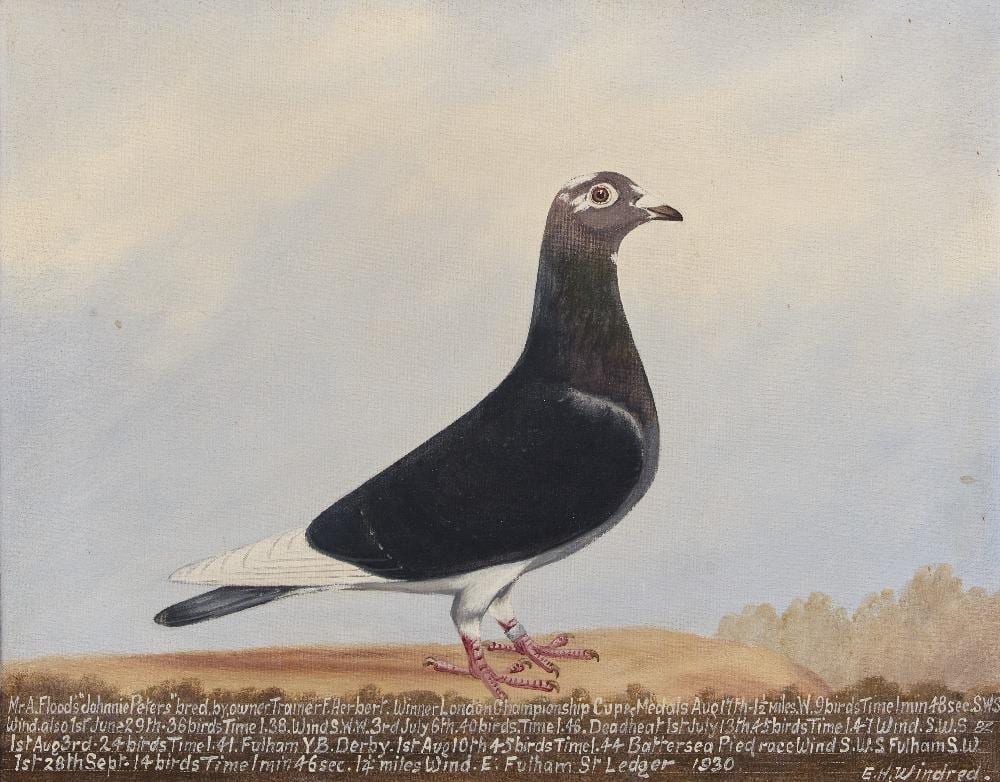edward henry windred british 1875 1953 portrait of mr a · Roseberys · 2026-07-08 Edward Henry Windred comparable auction result: edward henry windred british 1875 1953 portrait of mr a