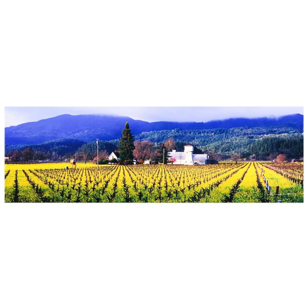 Peter Lik comparable auction result: peter lik b 1959 napa valley field le photograph