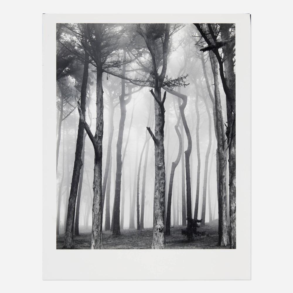 Don Worth comparable auction result: don worth trees and fog san francisco