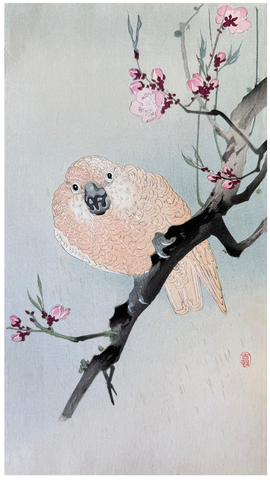 Ohara Koson comparable auction result: japanese woodblock print ohara koson