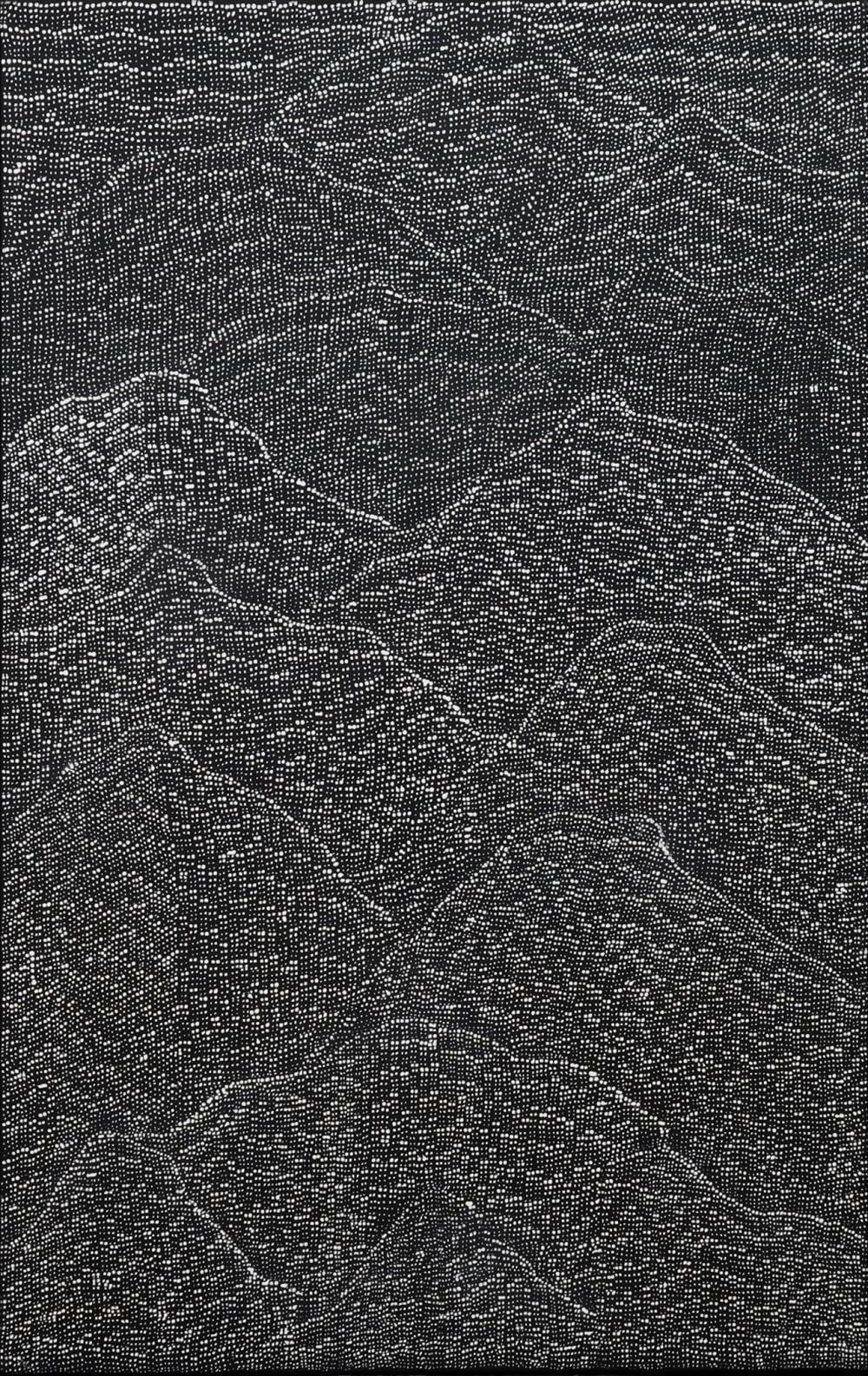 Lily  Kelly comparable auction result: lily kelly napangardi tali sandhills acrylic on canvas 118cm x 75cm
