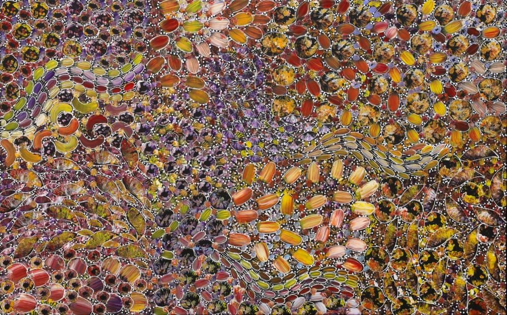Rachael Nambula comparable auction result: rachael nambula bush yam dreaming acrylic on linen 82cm x 131cm