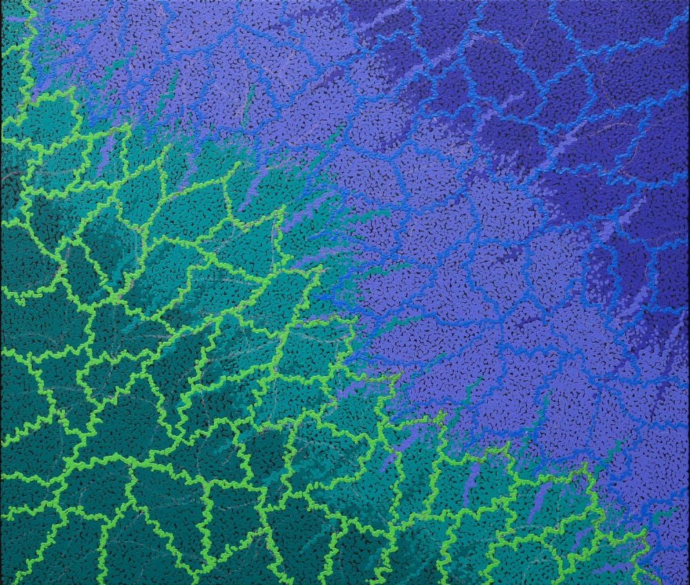 Kyra Campbell comparable auction result: kyra campbell lightning dreaming acrylic on canvas 106cm x 91cm