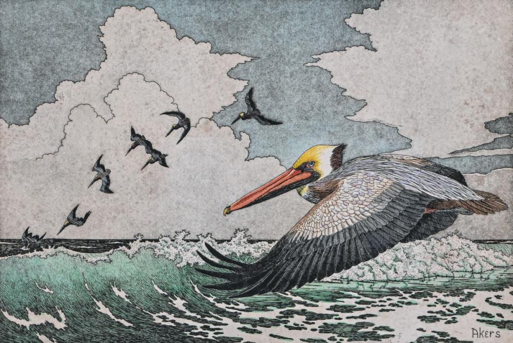 John Akers comparable auction result: john akers american louisiana 1944 2006 hand colored etching surfing pelicans c1980