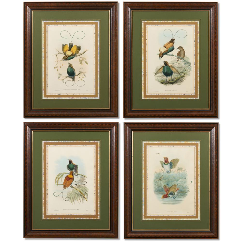 John (1804) Gould comparable auction result: john gould 1804 1881 four plates diphyllodes speciosa magnificent bird of paradise diphyllodes chrysoptera golden winged