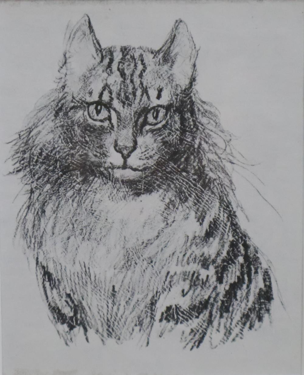 Norman Lindsay comparable auction result: norman lindsay well framed book plate print pangur ban cat details to verso approx 11cm x 9cm