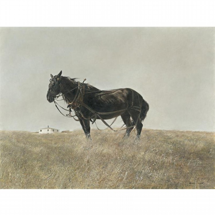 l - ANDREW WYETH B. 1917 comparable sale
