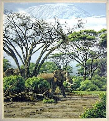 Stephen Gayford comparable auction result: stephen gayford b 1954 under kilimanjaro
