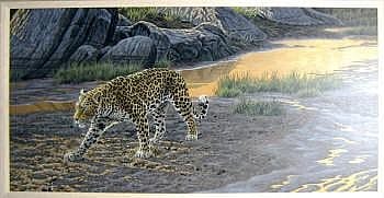 Stephen Gayford comparable auction result: stephen gayford b 1954 african afterglow