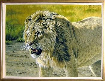 Stephen Gayford comparable auction result: stephen gayford b 1954 lion acrylic on
