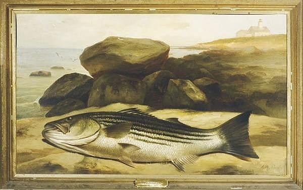 Arnoud Wydeveld comparable auction result: arnoud wydeveld american 1823 1888