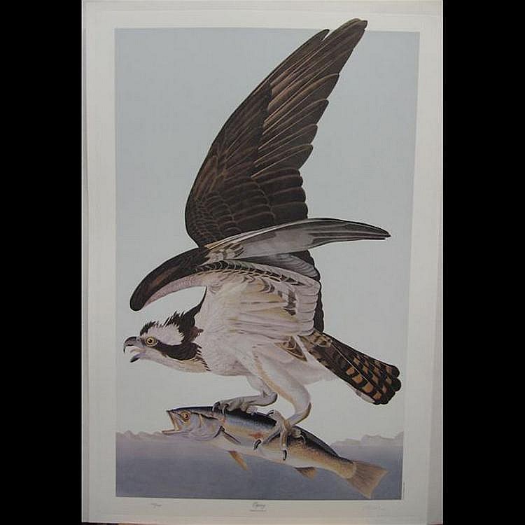 M. Bernard Loates comparable auction result: m bernard loates canadian osprey wood ibis