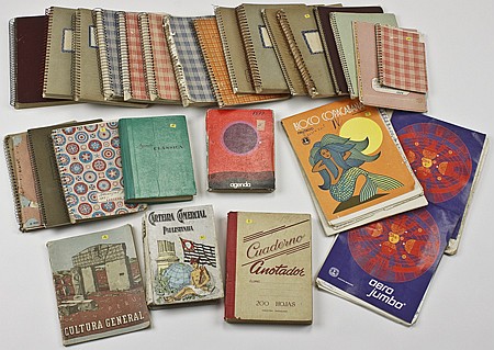 THE HIDDEN JOURNALS OF DR. JOSEF MENGELE - Current Bid: $150,000.00 sold by Alexander Historical Auctions LLC, lot 4 — auction record photograph